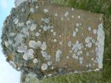 image of grave number 778593